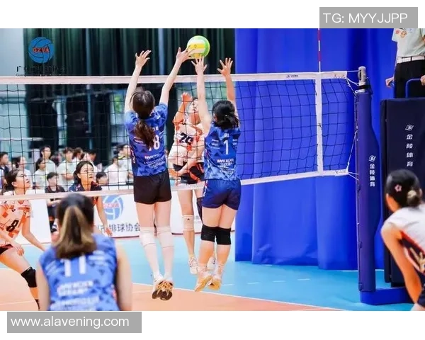 排球心理素质评比揭晓广州排球队荣登第八名引发关注